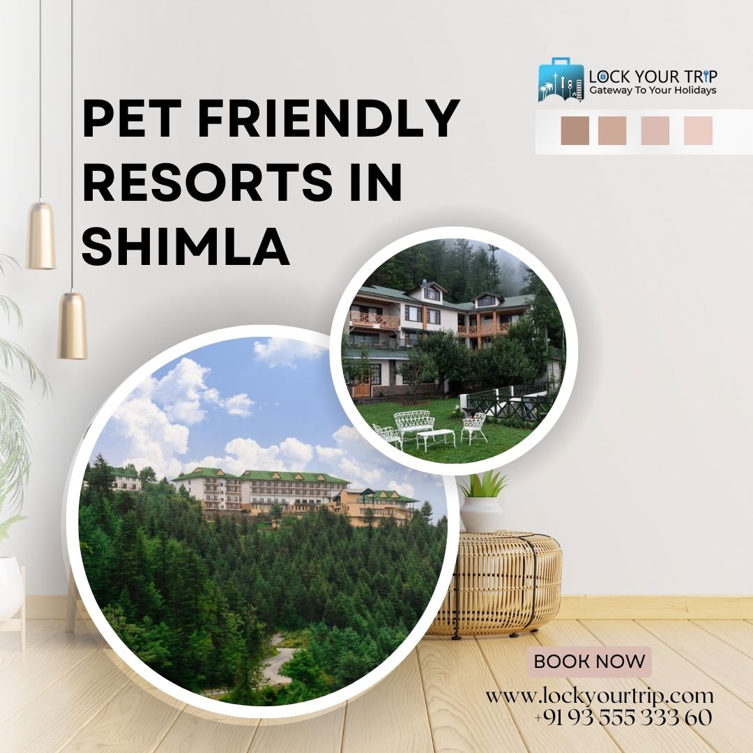 pet friendly resorts in shimla